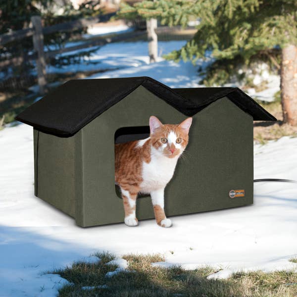 21 Amazing Cat Essentials That You Can Get At Walmart