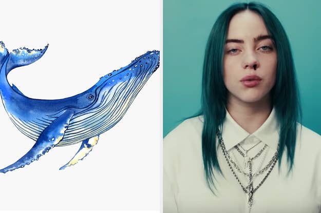 Are You More Like Billie Eilish Or Ariana Grande