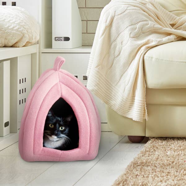 21 Amazing Cat Essentials That You Can Get At Walmart