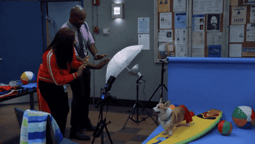 The Dog Who Played Cheddar On Brooklyn Nine Nine Has Died