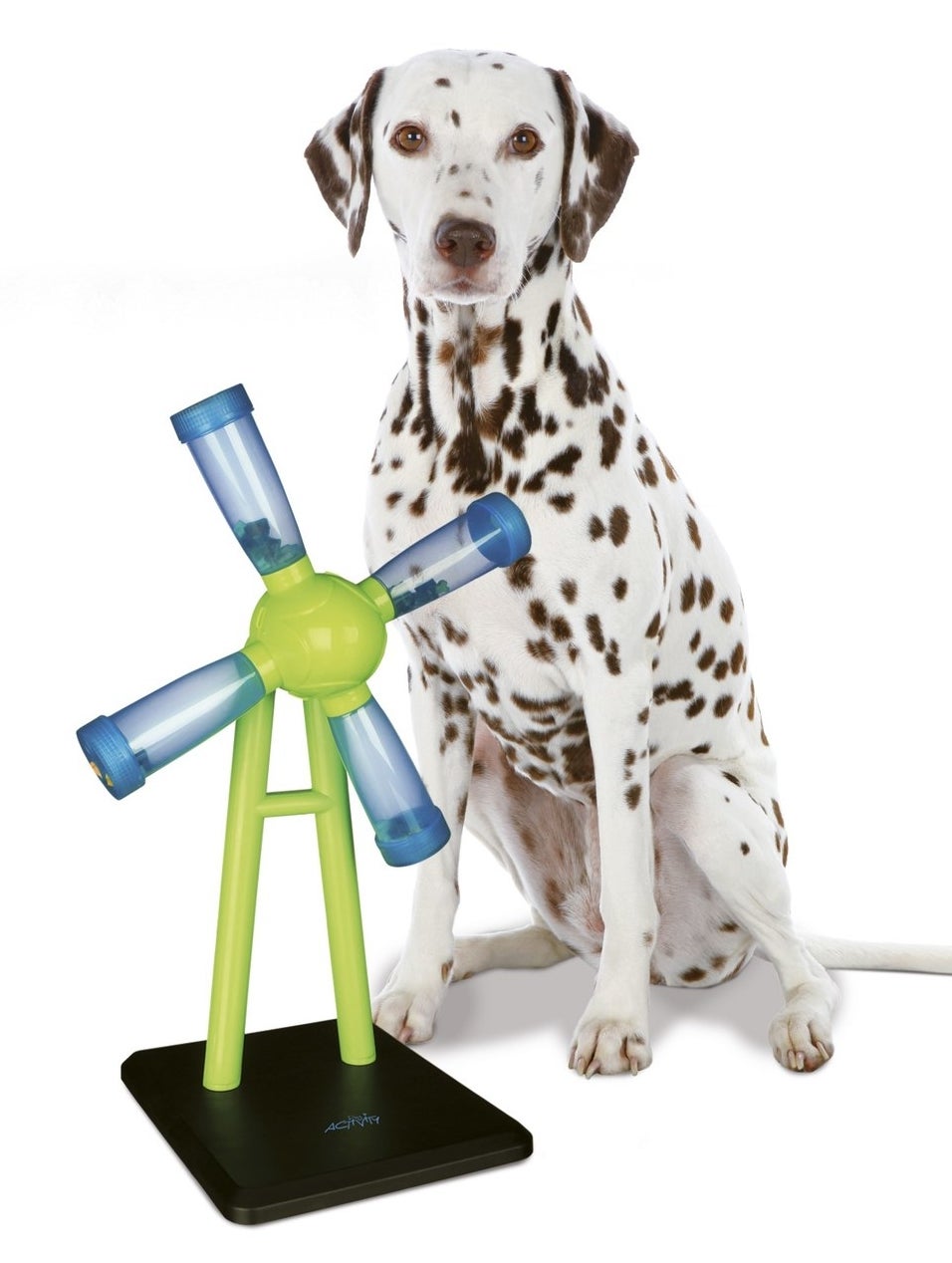 A windmill shaped feeder on a black base with four tubes that hold dry food. The dog must push the windmill around for the dry food to fall out. 