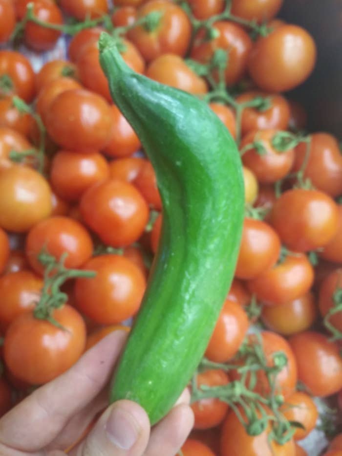 Forbidden eggplant and peaches : r/forbiddensnacks