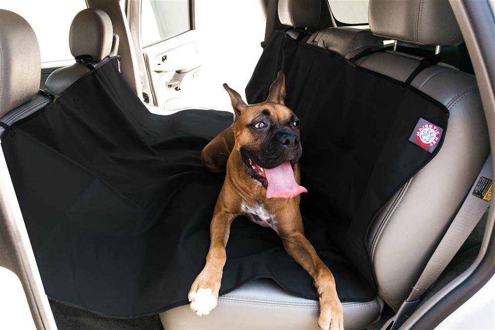 A large dog sitting on the back seat of the car. The cover attaches to the headrests in front and behind it. 