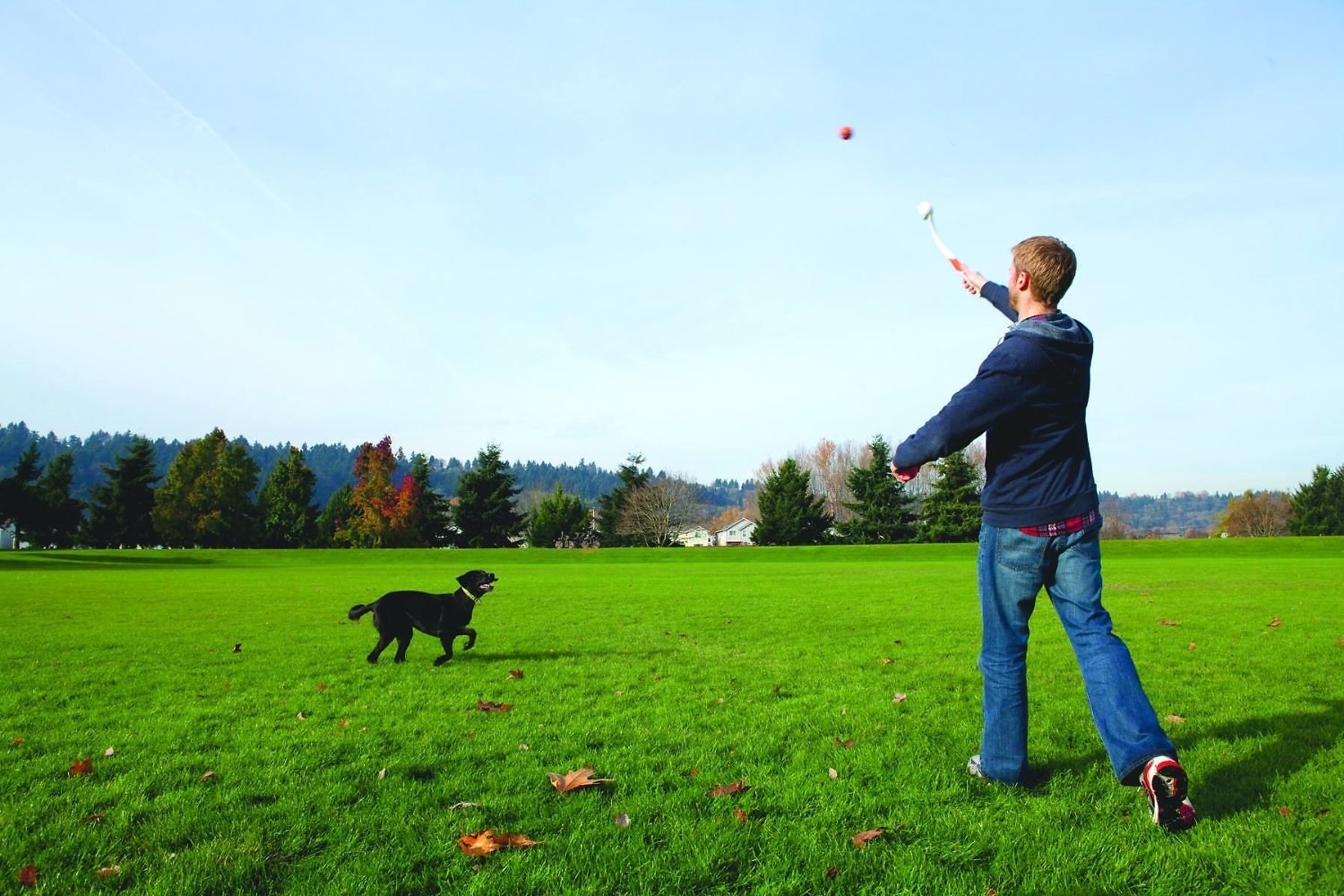 A person launching their dog&#x27;s ball considerably farther than a traditional throw with the help of the arm-length wand