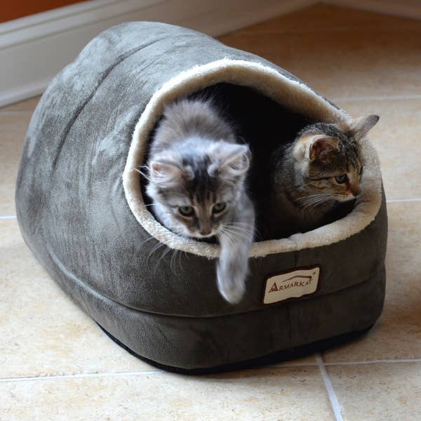 21 Amazing Cat Essentials That You Can Get At Walmart