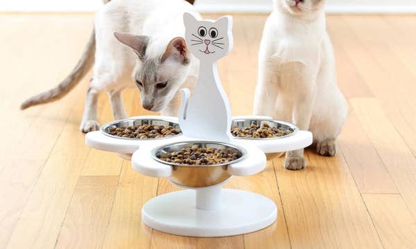 21 Amazing Cat Essentials That You Can Get At Walmart