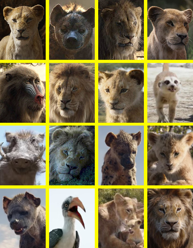 In the seen king an animal name lion Animals in