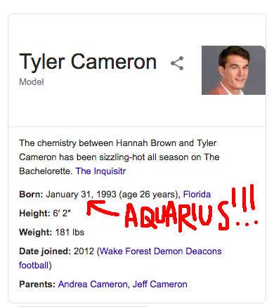 Everything You Need To Know About