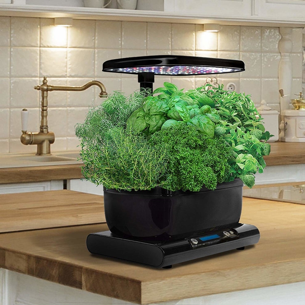 Here Are All The Best Amazon Prime Day Deals