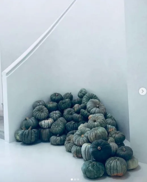 Black pumpkins piled in a corner
