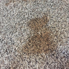 a heavily stained carpet