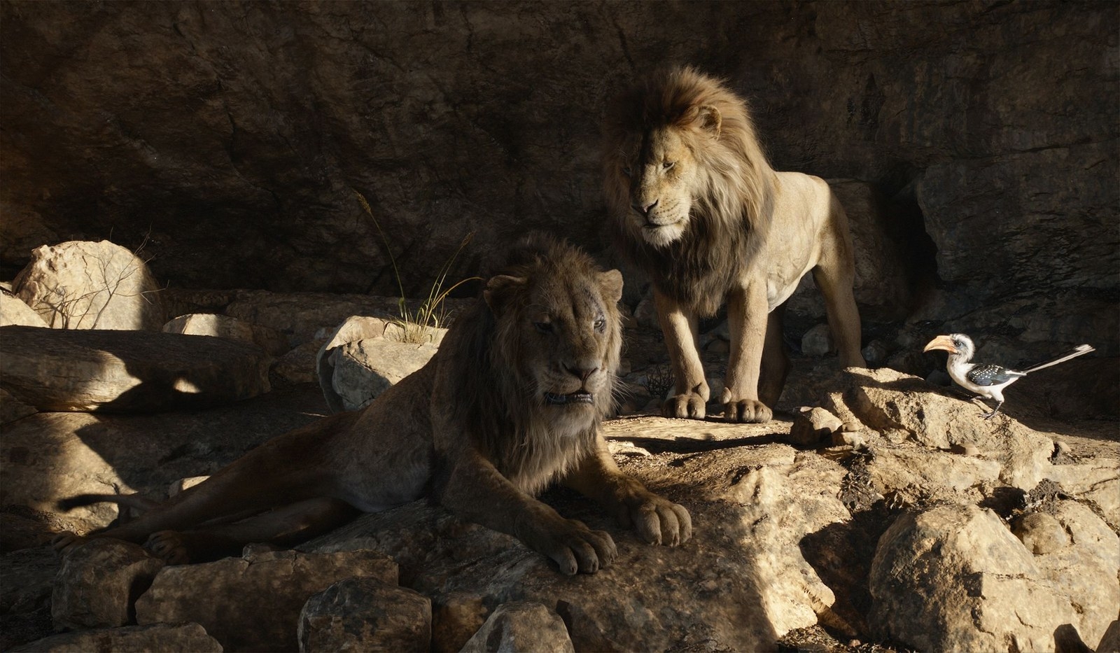 La versión live-action de El Rey León recibe las primeras críticas -  Tikitakas