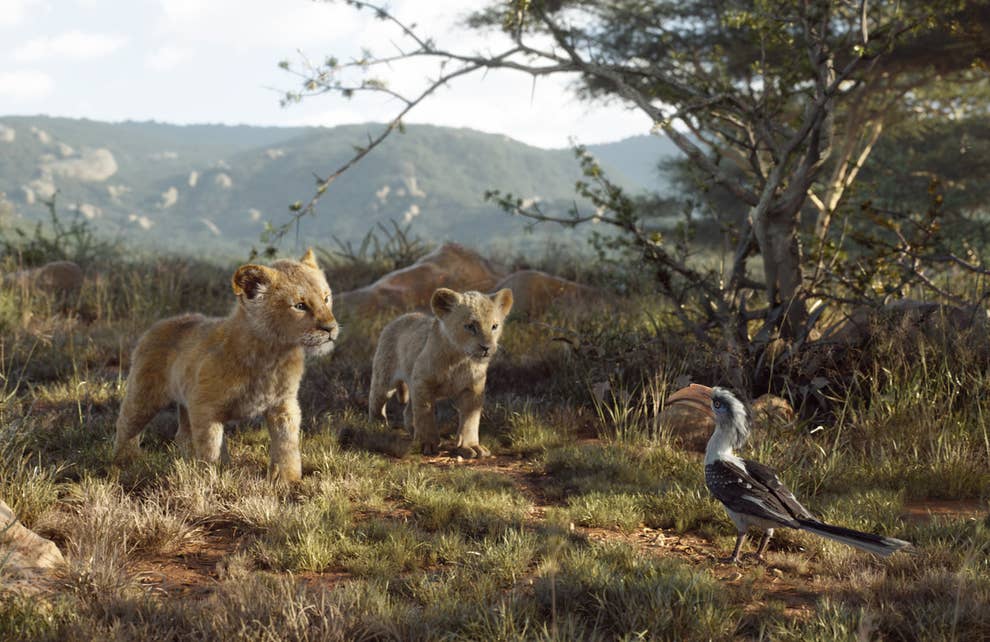 The Actors Who Played Young Simba And Nala In The Lion King Talk About Filming The Disney Remake The Actors Who Played Young Simba And Nala In The Lion King Talk About Filming The Disney Remake
