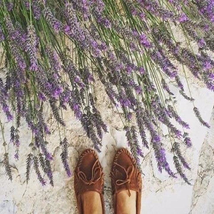 stylish slip on shoes