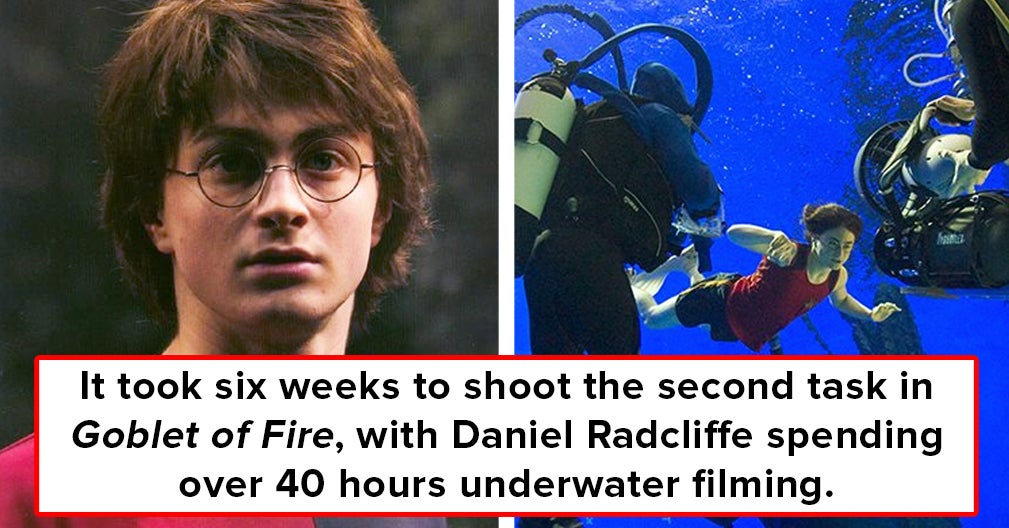 Harry Potter Fun Facts Buzzfeed