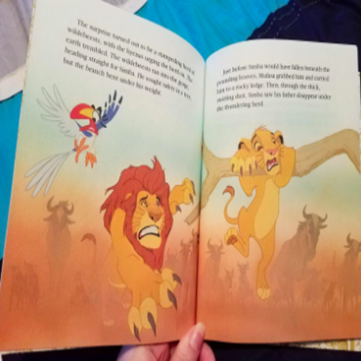 27 Lion King Products To Splurge On Before Seeing The New Movie