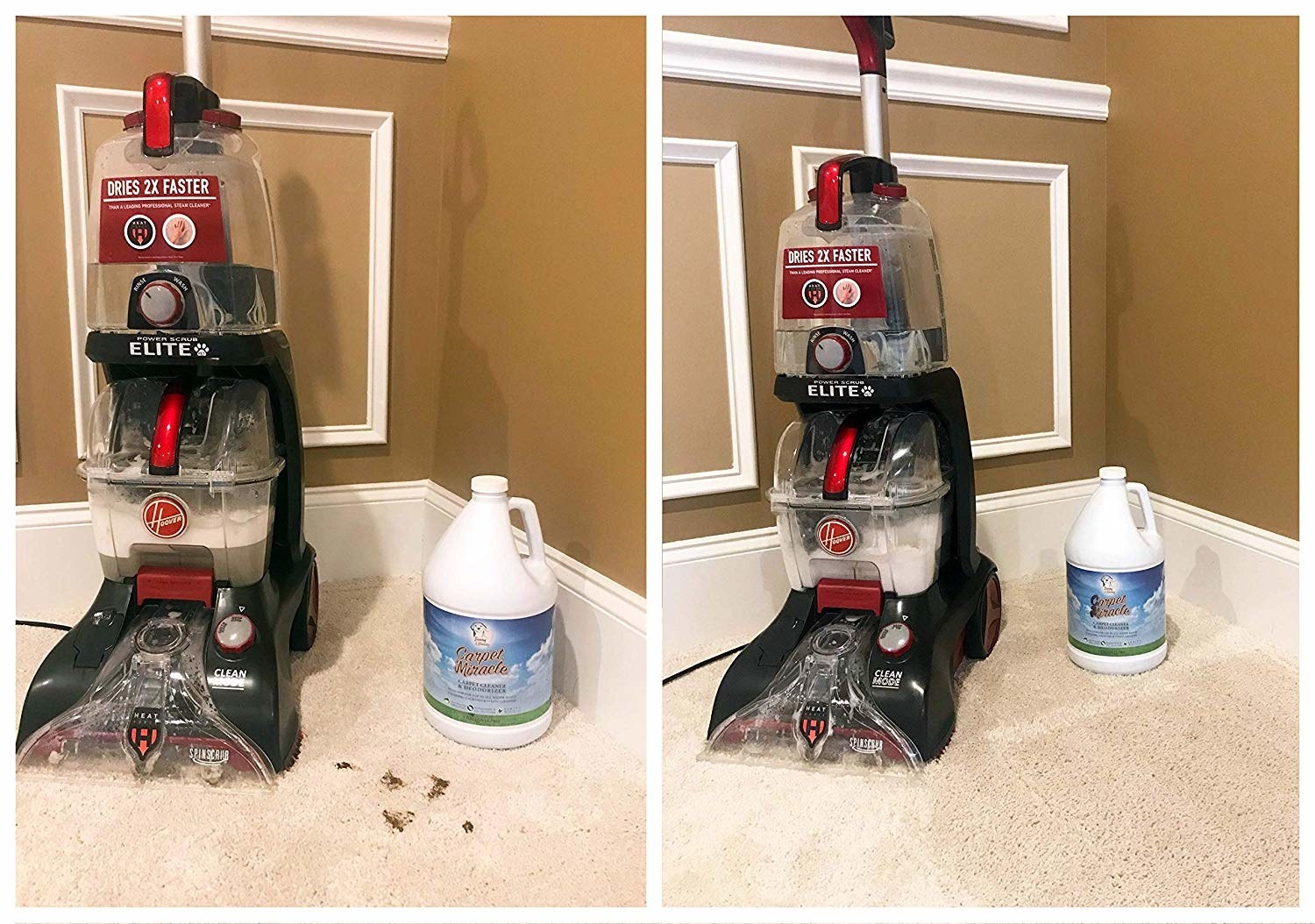 Steam cleaning solution фото 102