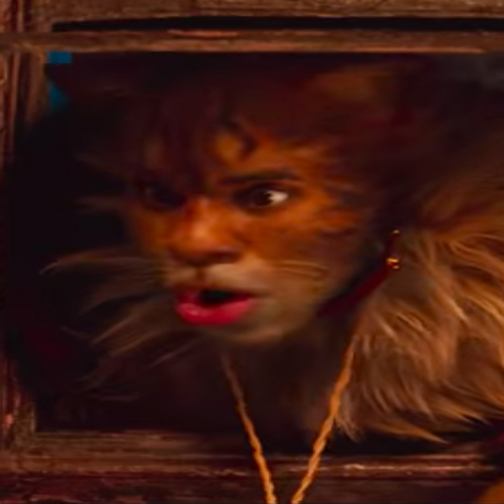 The &ldquo;Cats&rdquo; Actors Side-By-Side With Their Characters