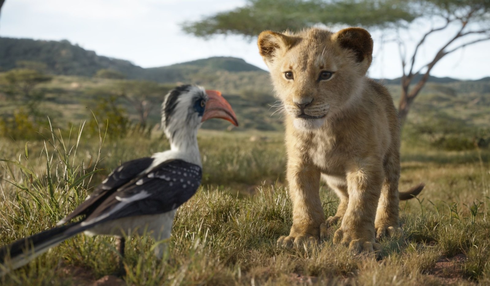 The Lion King And Avengers Endgame Make Box Office History For