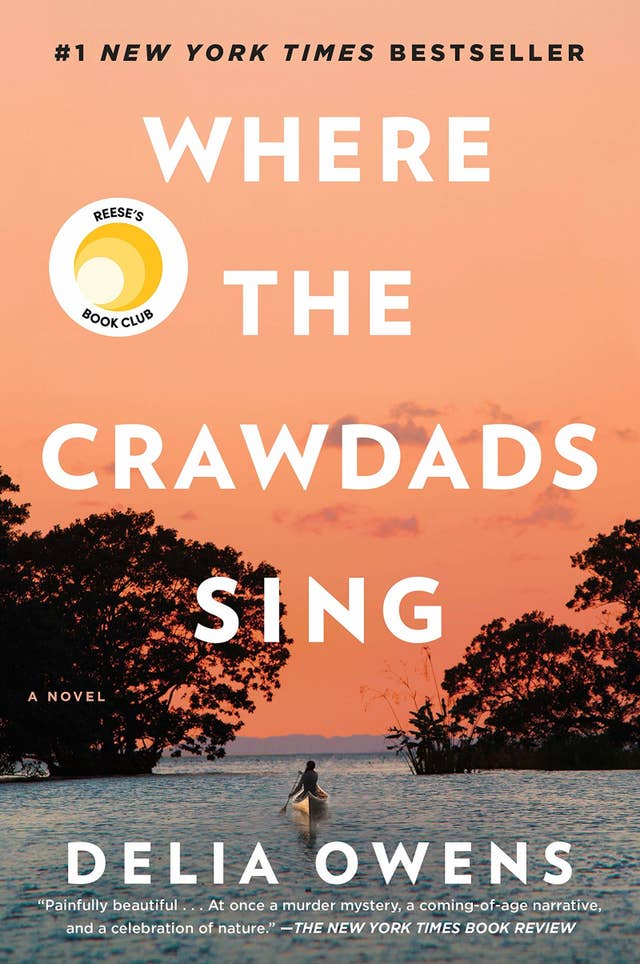 Books Similar To Big Little Lies