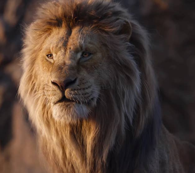 Everyone Is Traumatized By Mufasa S Death In The Lion King All Over Again Everyone Is Traumatized By Mufasa S Death In The Lion King All Over Again