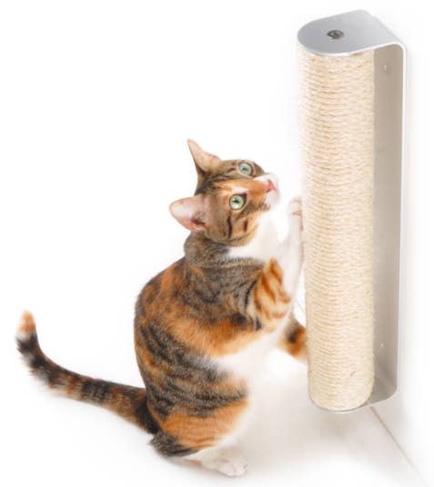 21 Things To Buy Your Cat When You Suspect They Re Secretly Mad At You