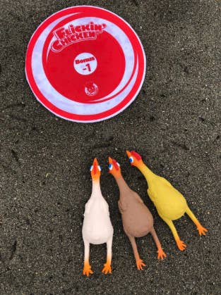 a bullseye and three rubber chickens