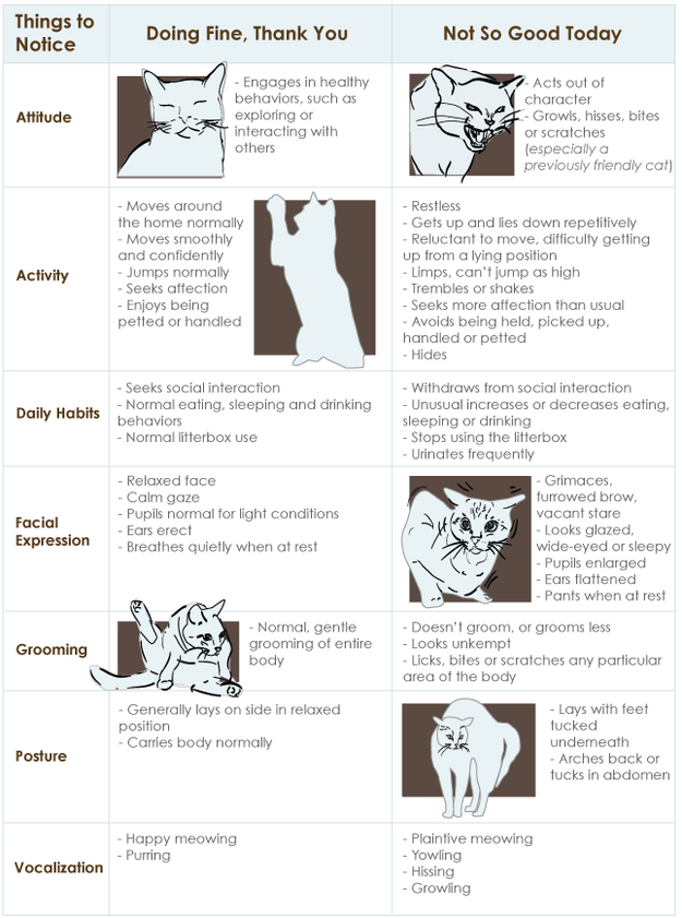 Save The Cat Cheat Sheet