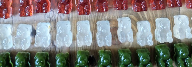 人生に嫌気がさして 大量のグミベア をつくった話