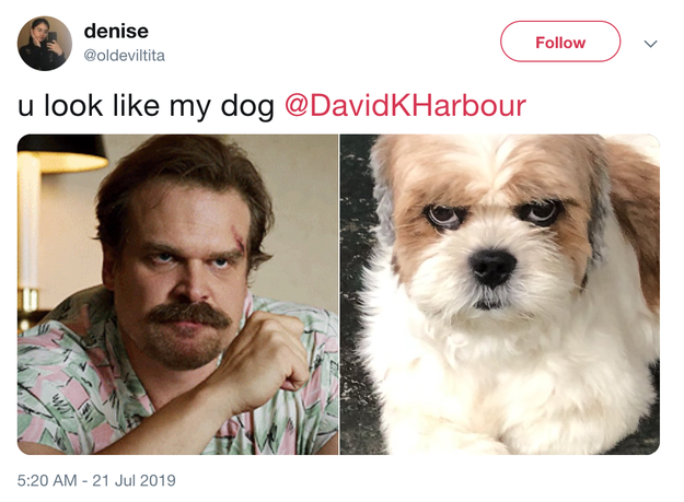 Show Us Pictures Of Your Dogs That Look Like Celebrities