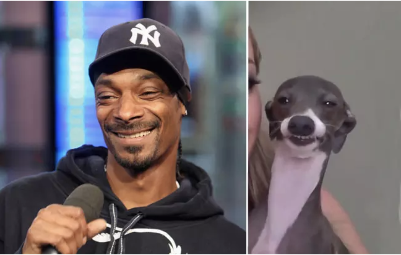 kermit the dog snoop dogg