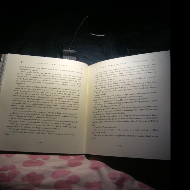 19 Things That Ll Light Up Your Life In More Ways Than One