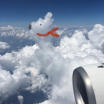 飛行機から見える雲に絵を描いた写真に ツイッター民がほっこり