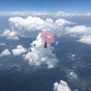 飛行機から見える雲に絵を描いた写真に ツイッター民がほっこり
