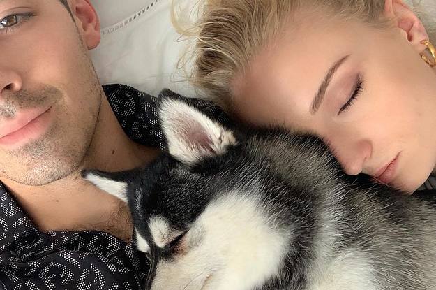 Sophie Turner And Joe Jonas Reportedly Saw A Therapist After Their Dog Died In A Freak Accident