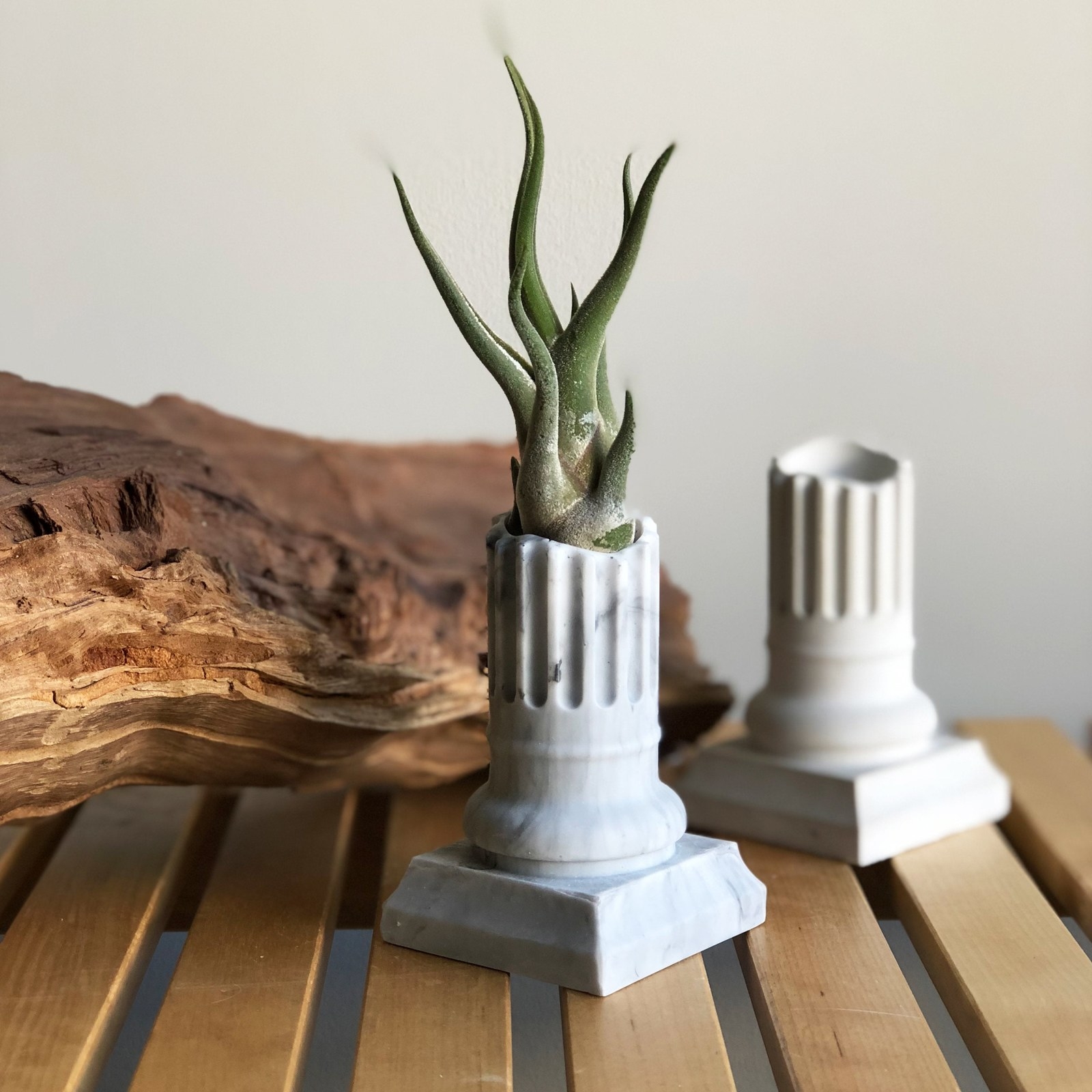 Two mini Greek columns with air plant resting inside 