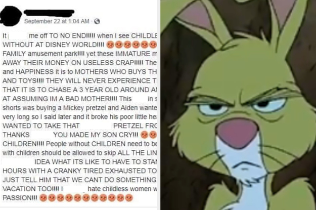 Mom's Angry Rant About Childless Adults at Disney World Sparks Fiery  Internet Debate