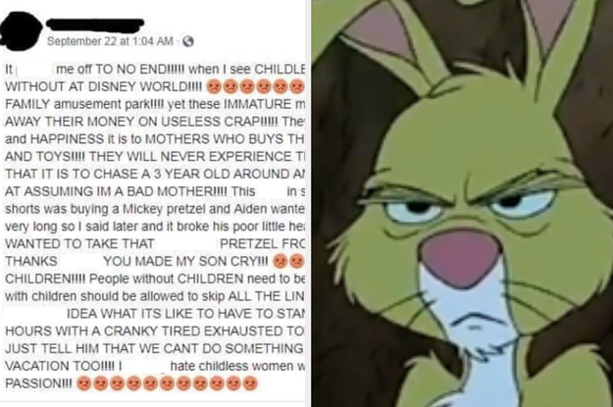 A Mom Wants Disney To Ban Childless Adults Because 'They Don't Understand  What It's Like To Be A Mother