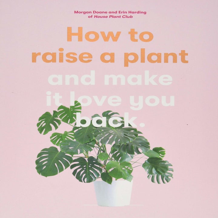 The cover of How to Raise a Plant: and Make It Love You Back (A modern gardening book for a new generation of indoor gardeners)