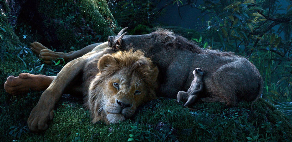 What The Lion Revealed Before He Vanished