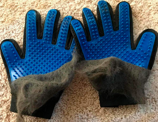 A pair of the gloves with a thick coat of fur being pulled from them. The gloves are soft on top and have plastic bumps to pull loose hair while petting. 