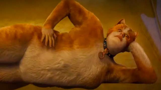 Rebel Wilson Responded To The Cats Trailer Backlash