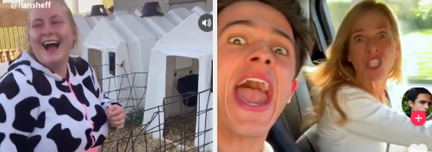 19 Tik Tok Videos That You Will Watch Over And Over