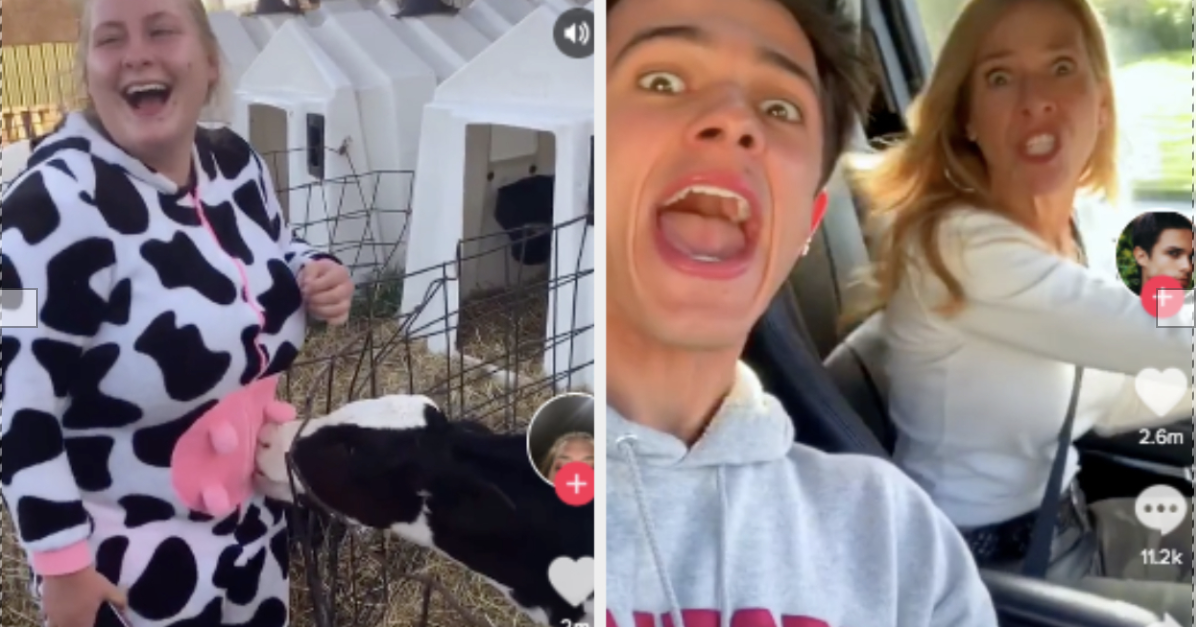 19 Tik Tok Videos That You Will Watch Over And Over