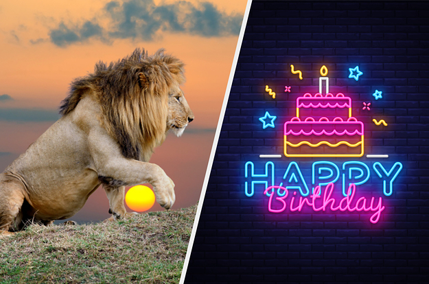 Which Animal Are You Based On Your Birthday?