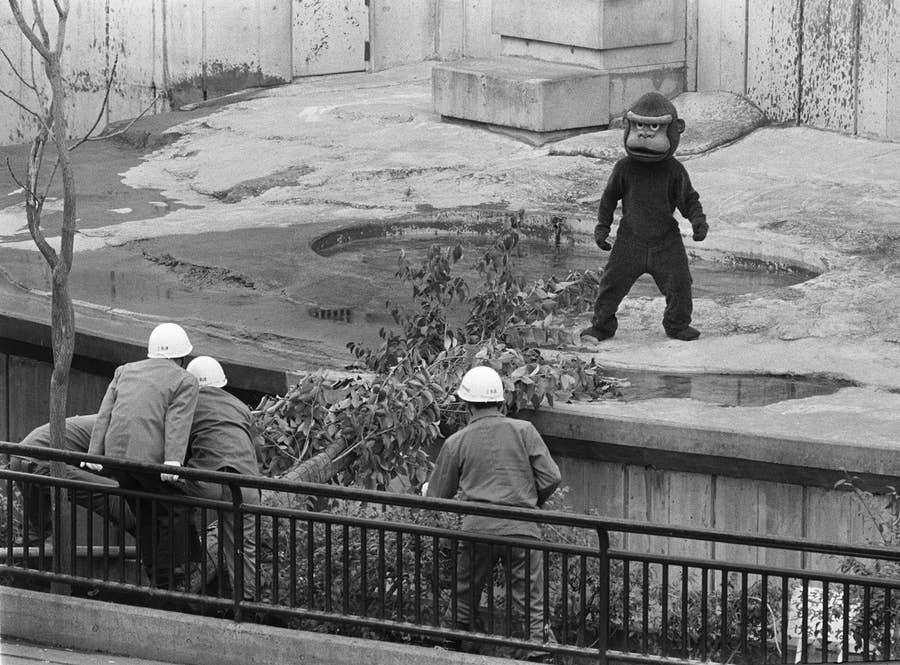 逃げる着ぐるみ 動物園の訓練光景がシュール 13枚の写真で振り返る過去