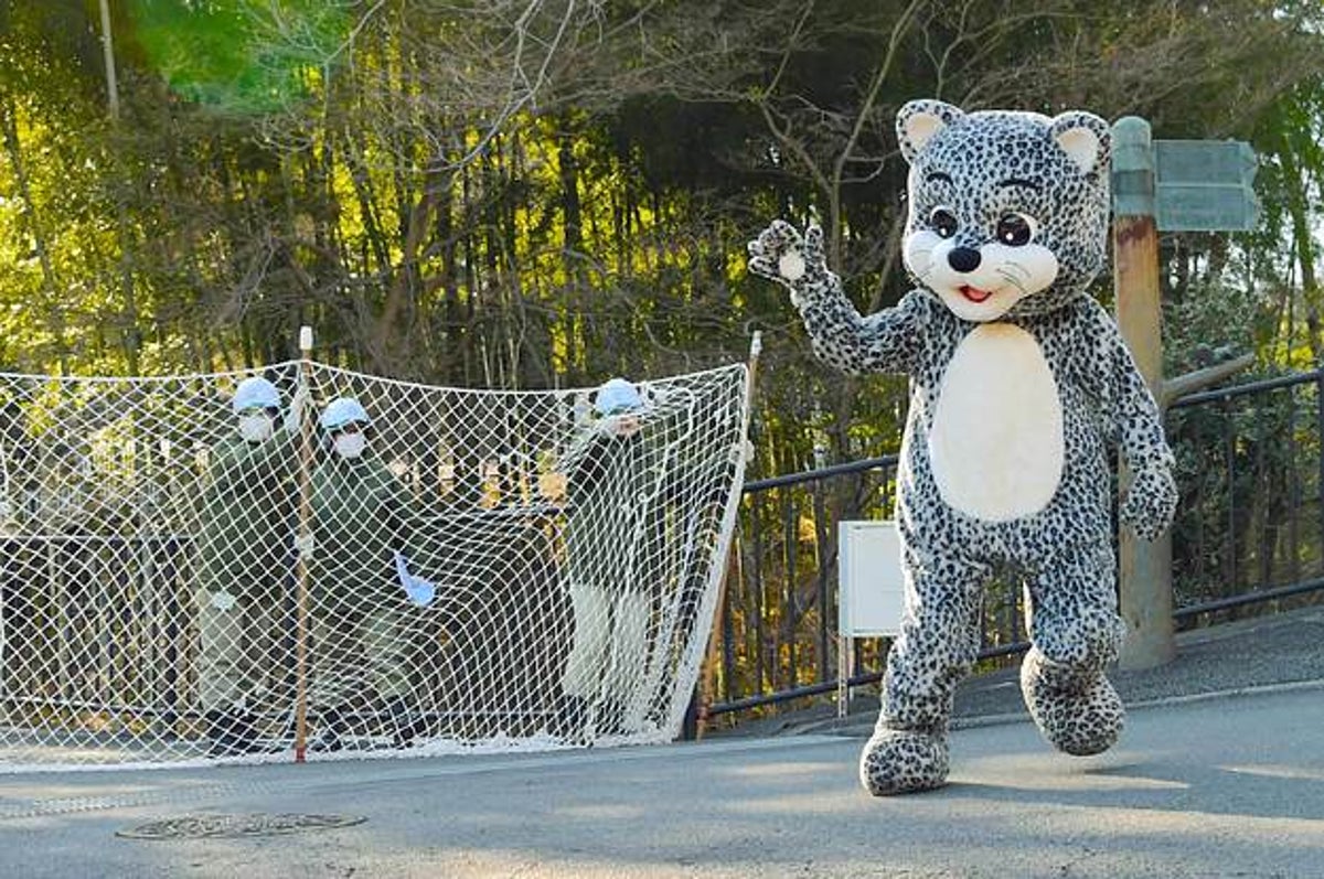 逃げる着ぐるみ 動物園の訓練光景がシュール 13枚の写真で振り返る過去