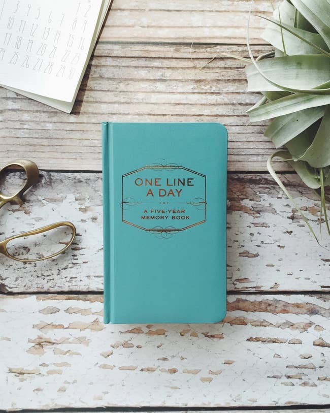 squishy covered journal that says one line a day