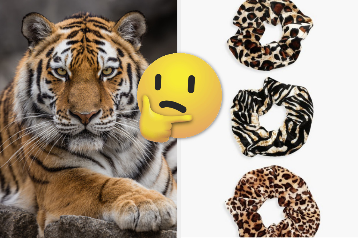 Quiz: What Animal Are You Most Like?