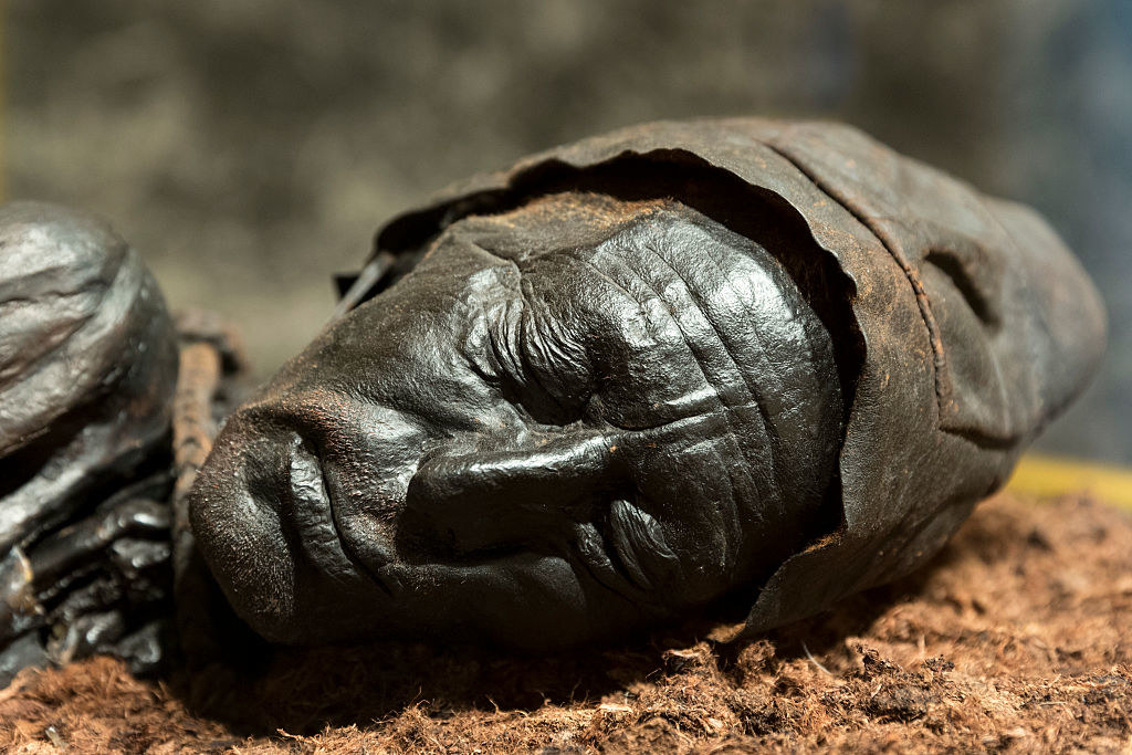 mummified head